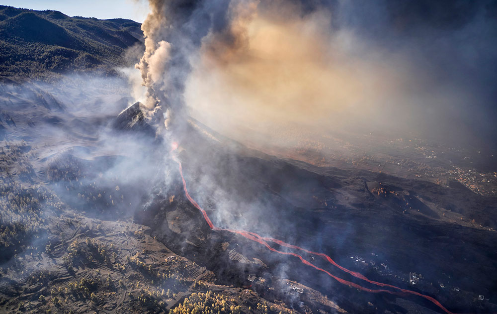 , March 2026 Gold Awards