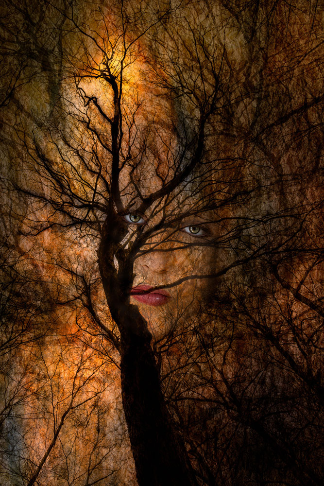 , March 2026 Highly Commended