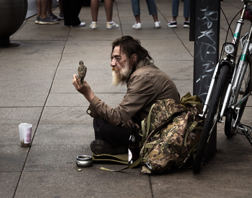 , March 2026 Highly Commended