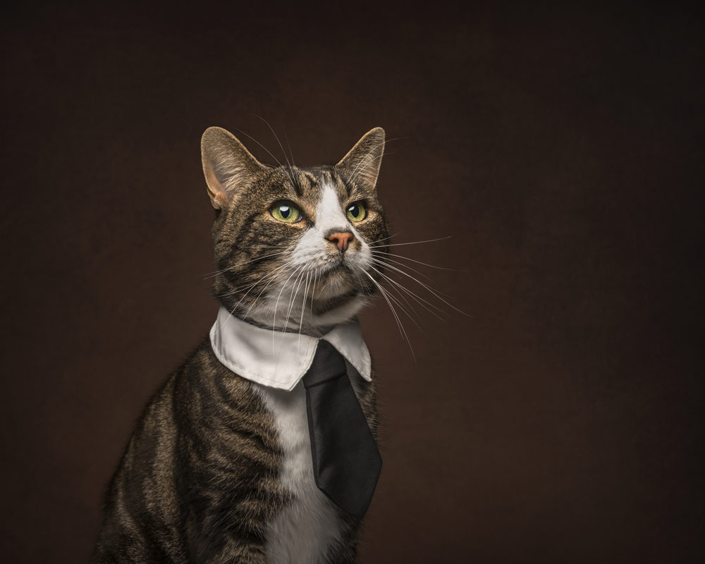 , March 2026 Highly Commended