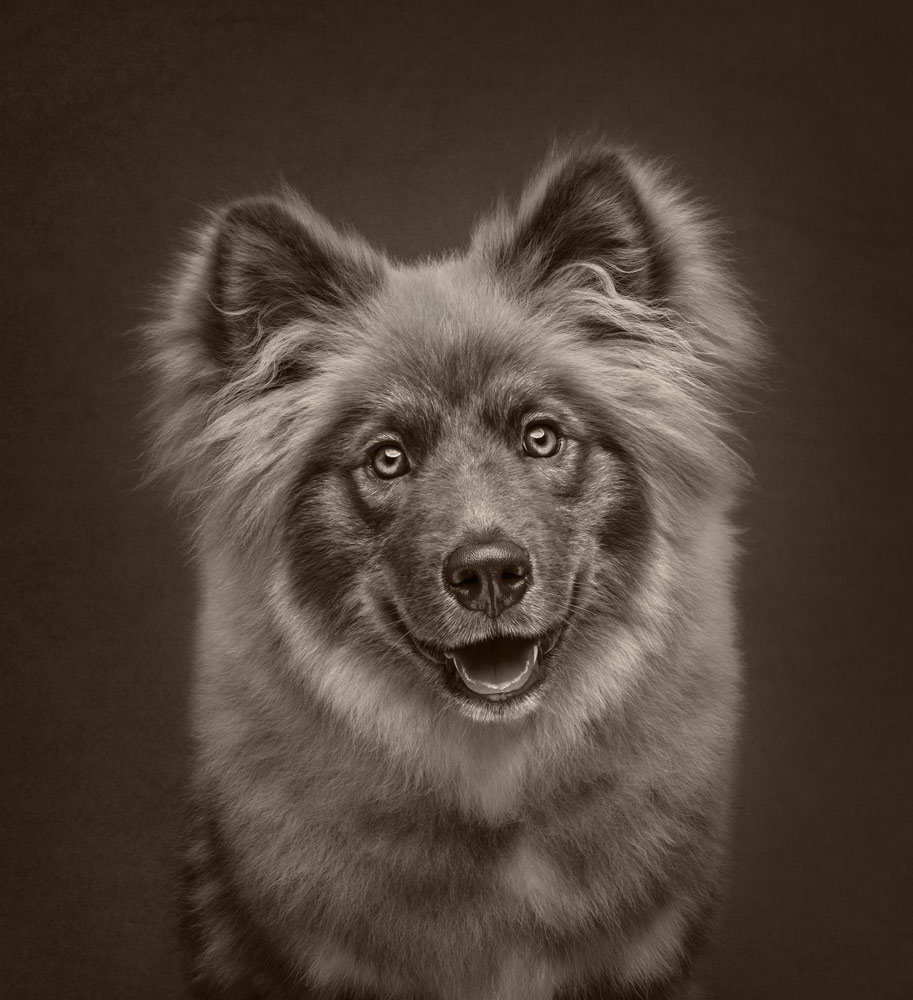 , March 2026 Gold Awards