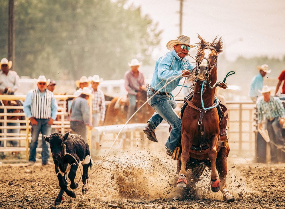 , March 2026 Gold Awards