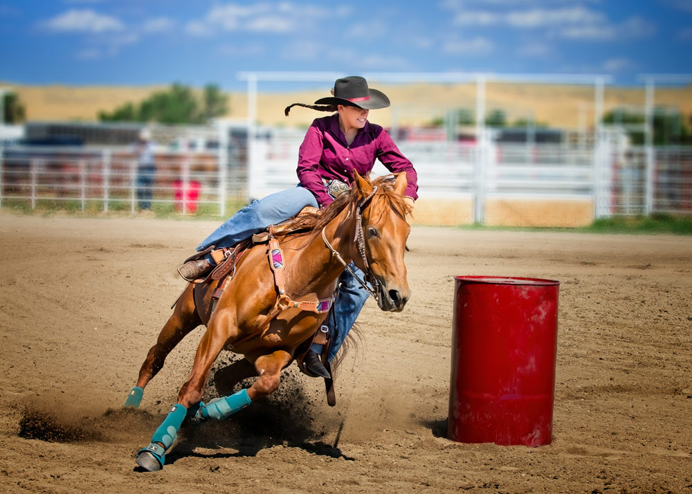 , March 2026 Highly Commended