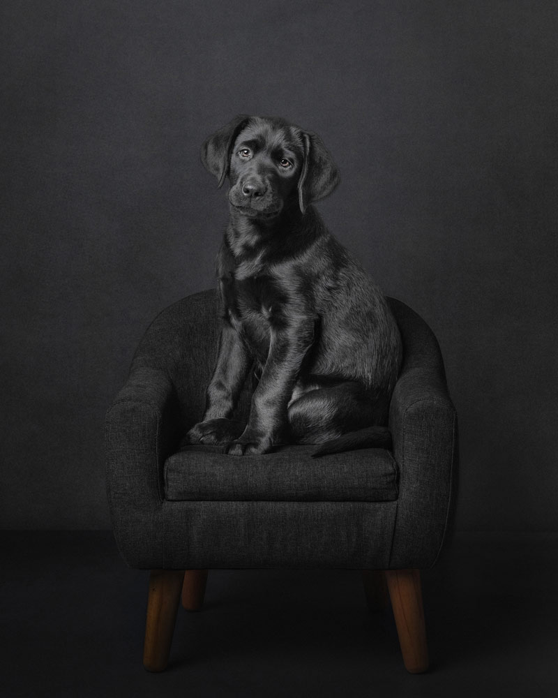 , March 2026 Gold Awards