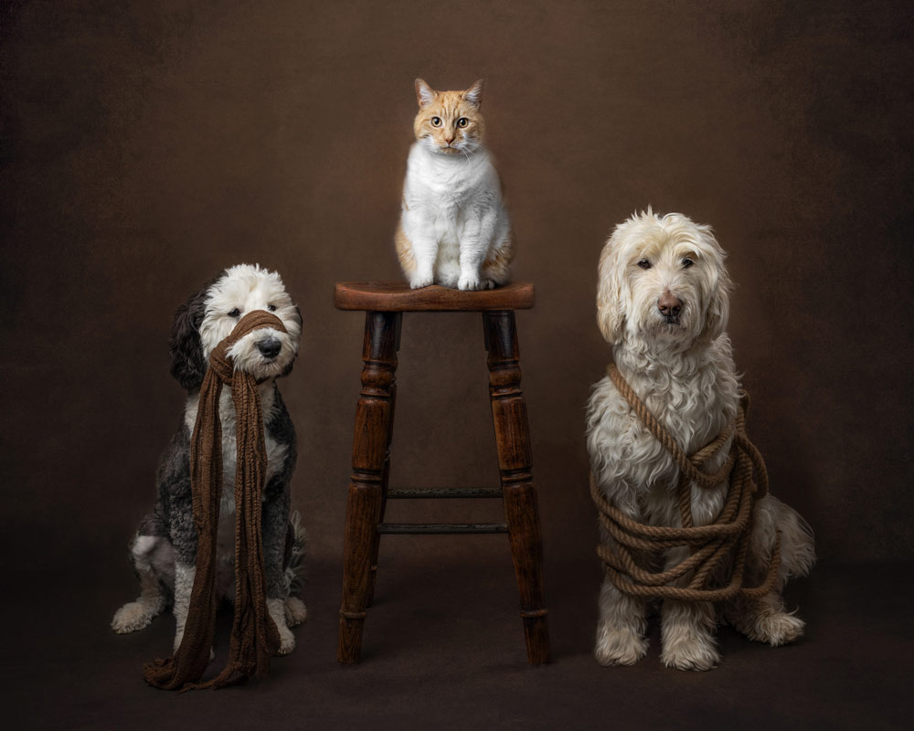 , March 2026 Highly Commended