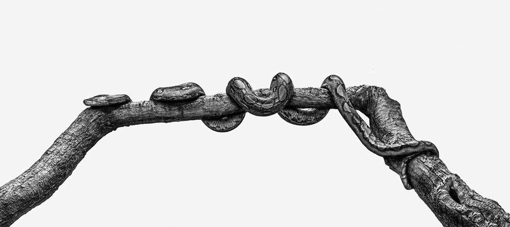 , March 2026 Gold Awards