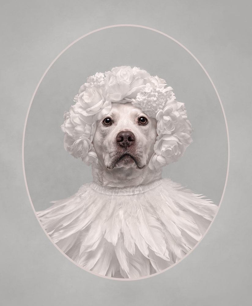 , March 2026 Highly Commended