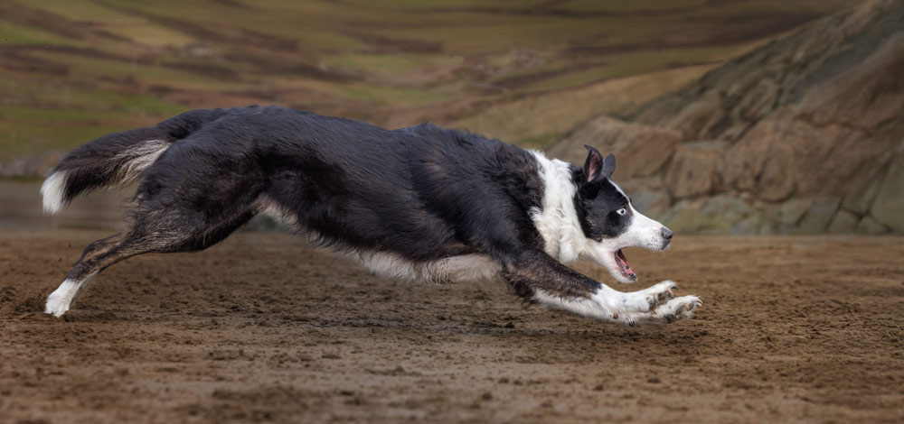 , March 2026 Highly Commended