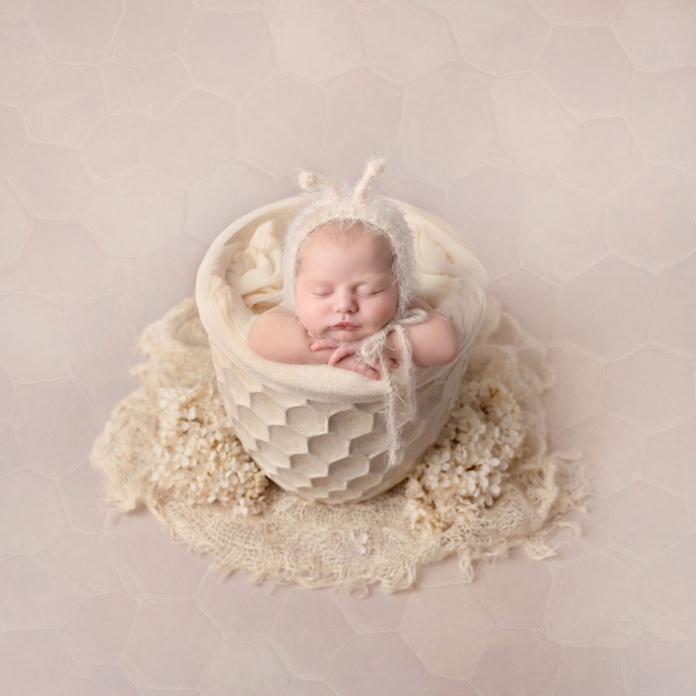 , March 2026 Highly Commended