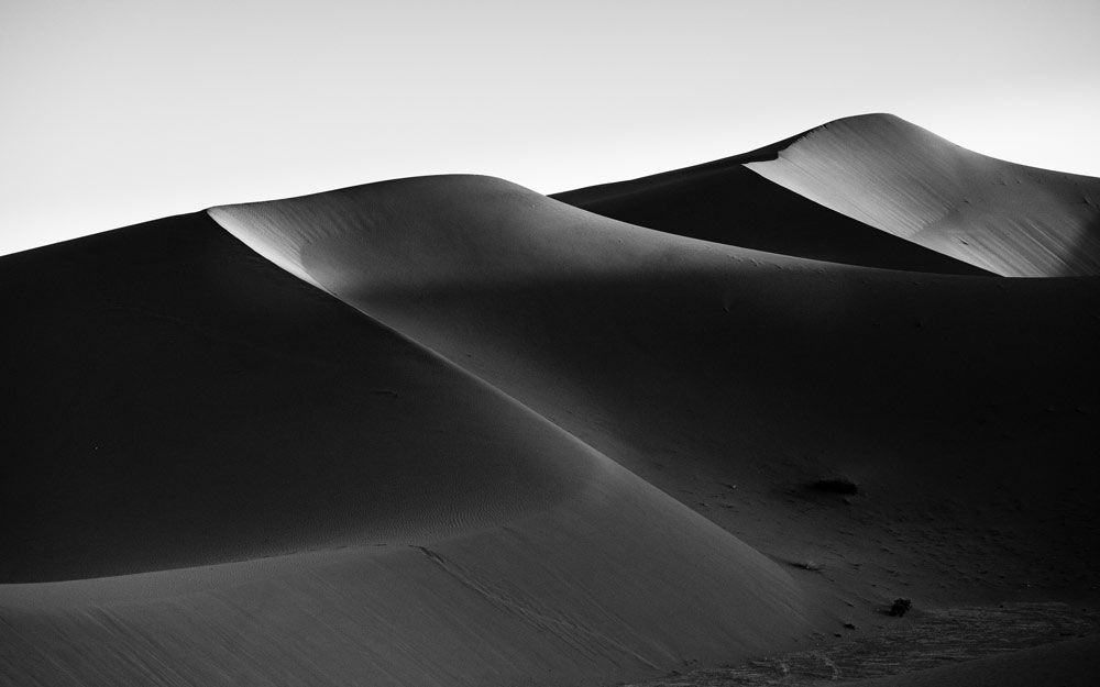 , March 2026 Gold Awards