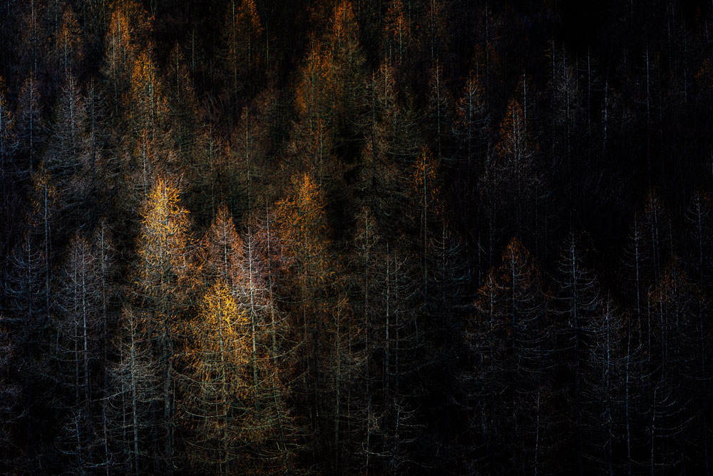 , March 2026 Highly Commended