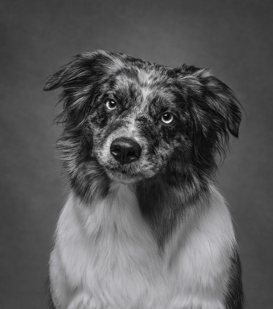 , March 2026 Highly Commended