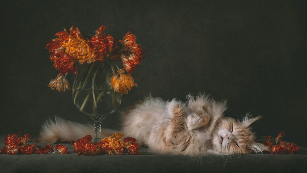 , March 2026 Highly Commended