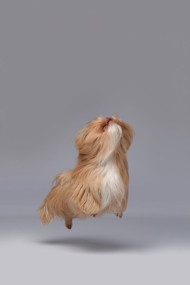 , March 2026 Gold Awards