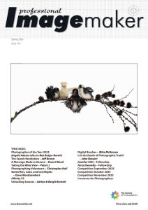 Professional Imagemaker Spring 2026 Now Available Online