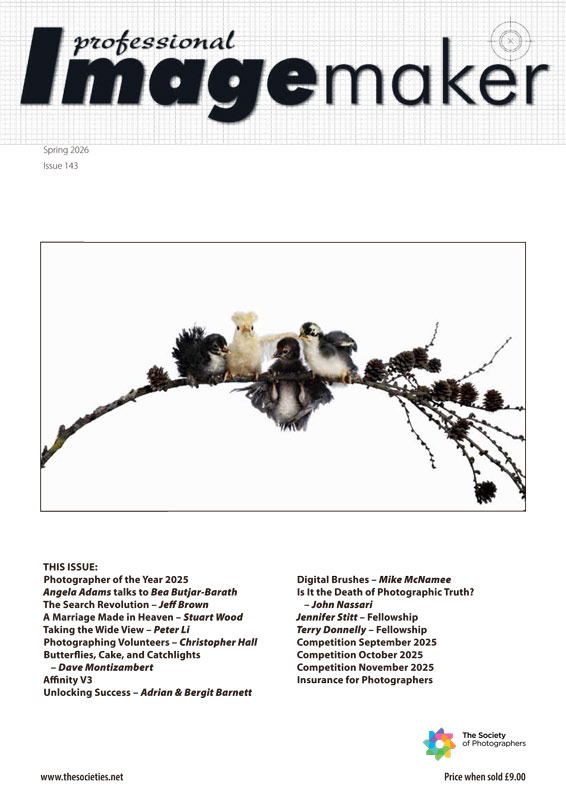 Professional Imagemaker Spring 2026 Now Available Online