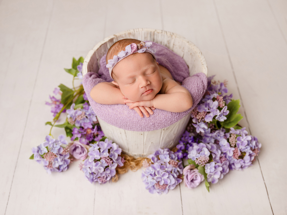 , March 2026 Highly Commended