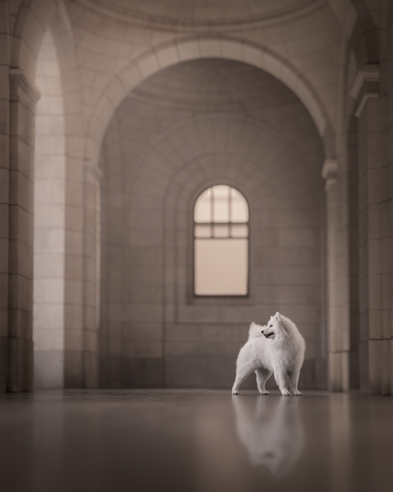 , March 2026 Highly Commended