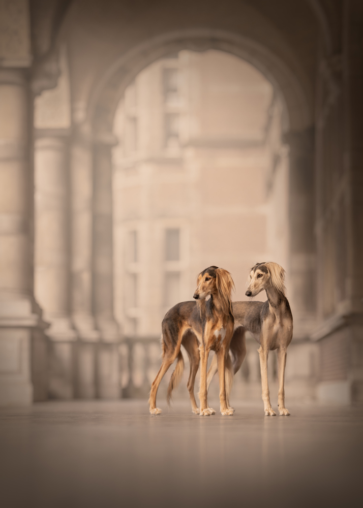 , March 2026 Highly Commended