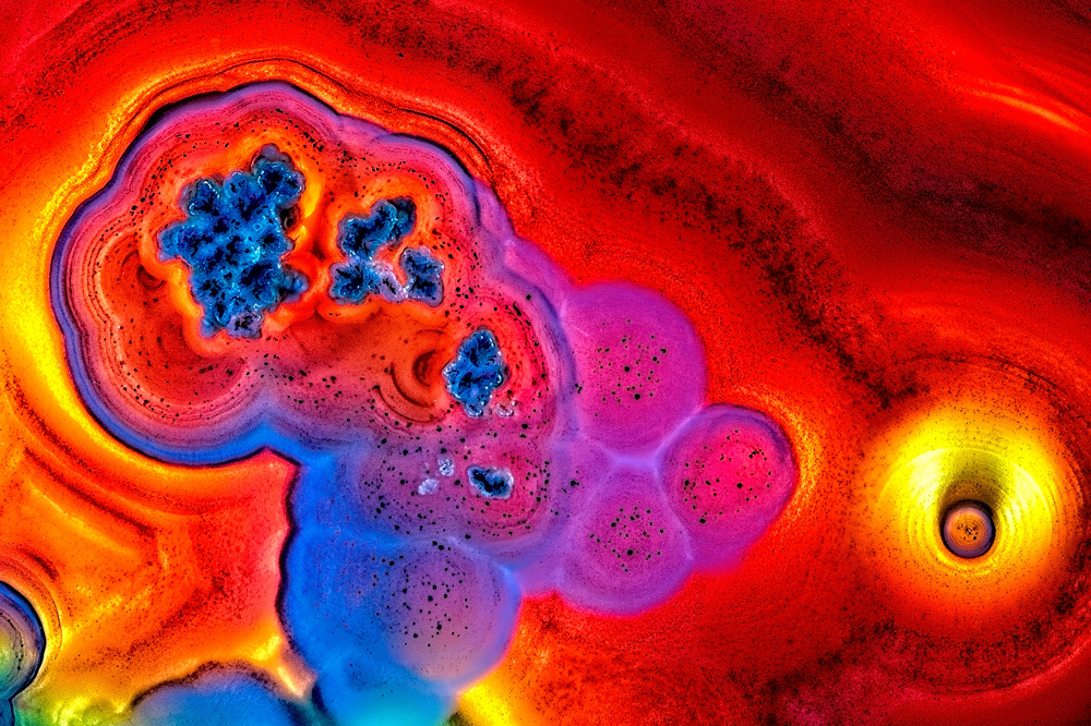 , March 2026 Highly Commended