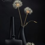 Judges Choice March 2026