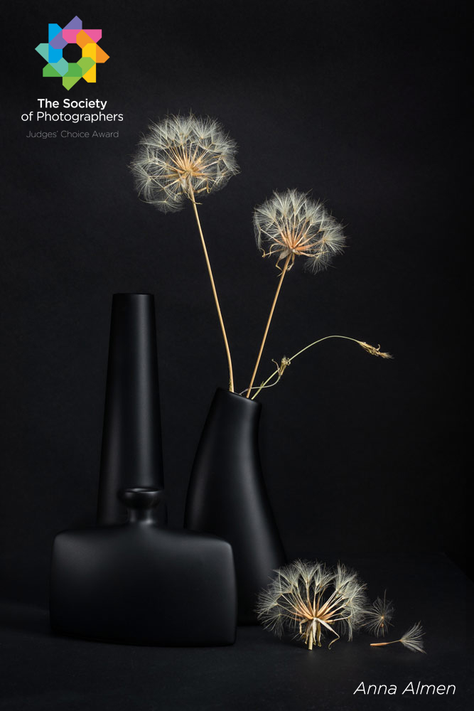 Judges Choice March 2026