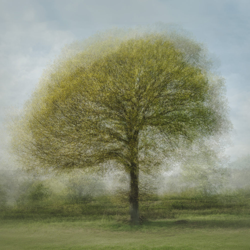 , May 2026 Highly Commended