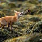 The Life on Earth Photography