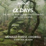 Explore The Art of Woodland Photography with Sony