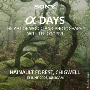 Explore The Art of Woodland Photography with Sony