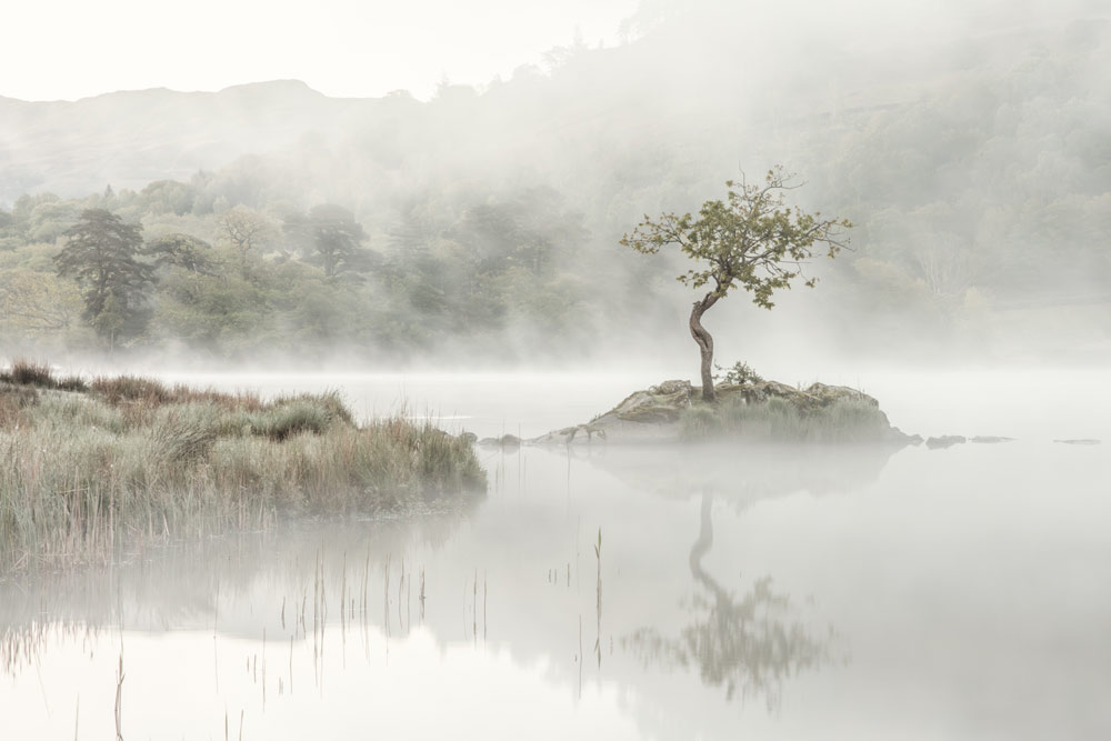 , May 2026 Highly Commended