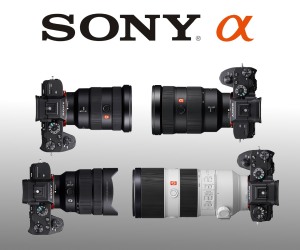 Sony GM lenses