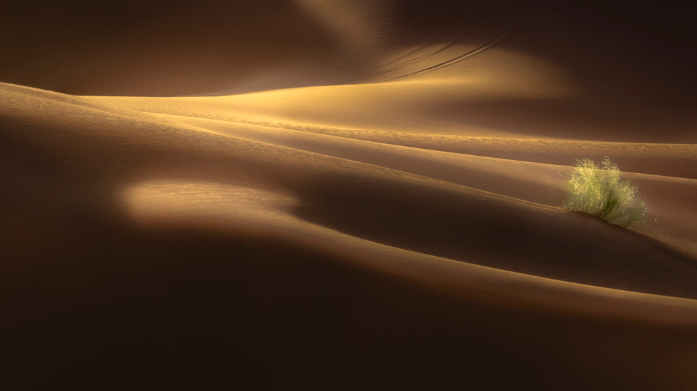 , June 2026 Highly Commended