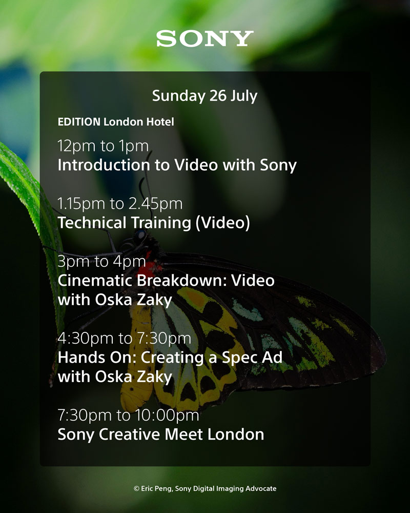 Sony Creators Week Sunday Lineup