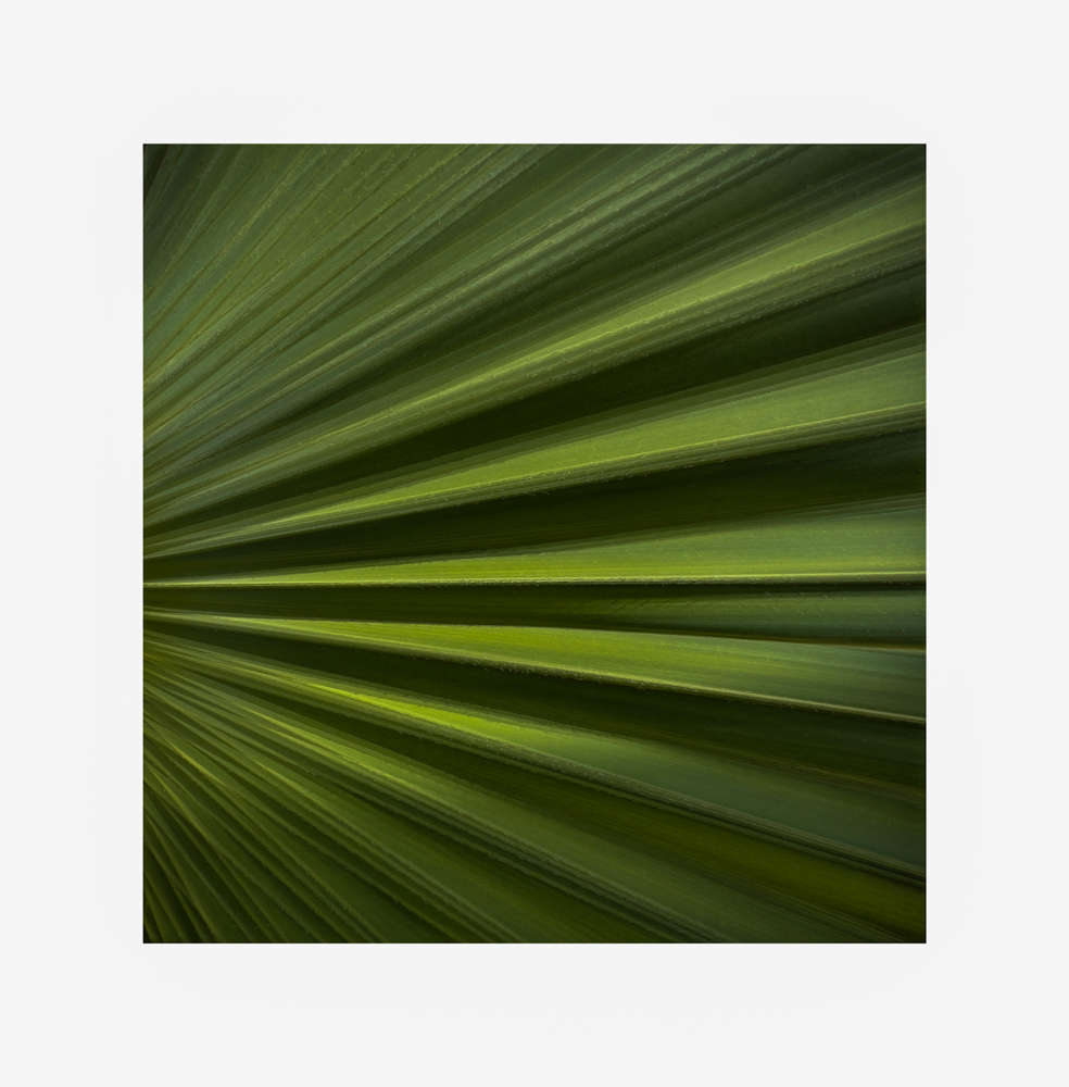 , June 2026 Highly Commended
