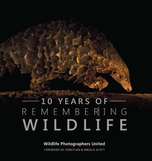 10 Years of Remembering Wildlife