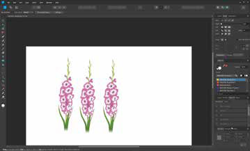 Affinity Designer