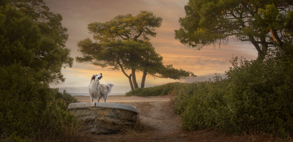 , July 2026 Highly Commended
