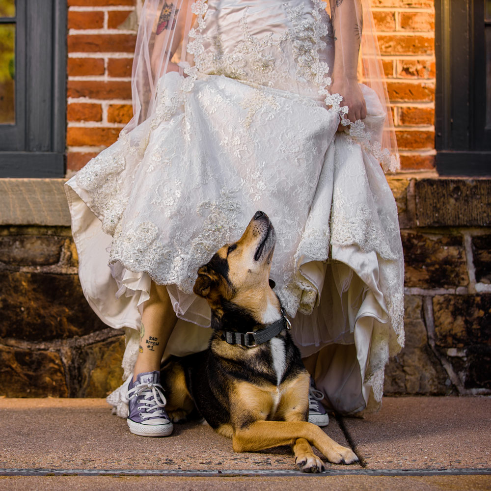 Creative Wedding Photography