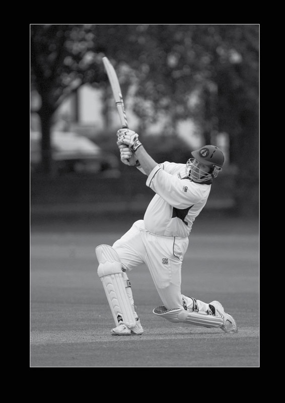 Cricket Photography