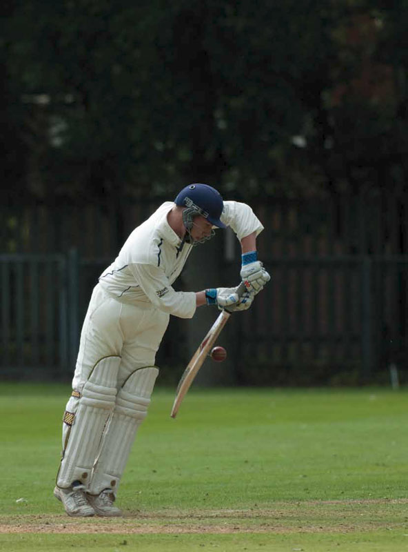 Cricket Photography