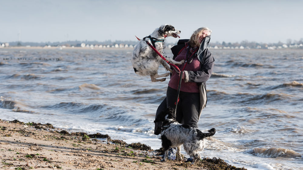 Dog Photography