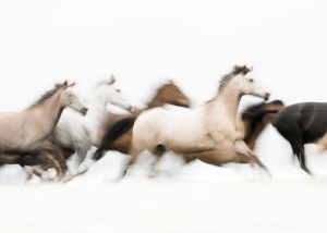 How to Build Multiple Income Streams as a Photographer