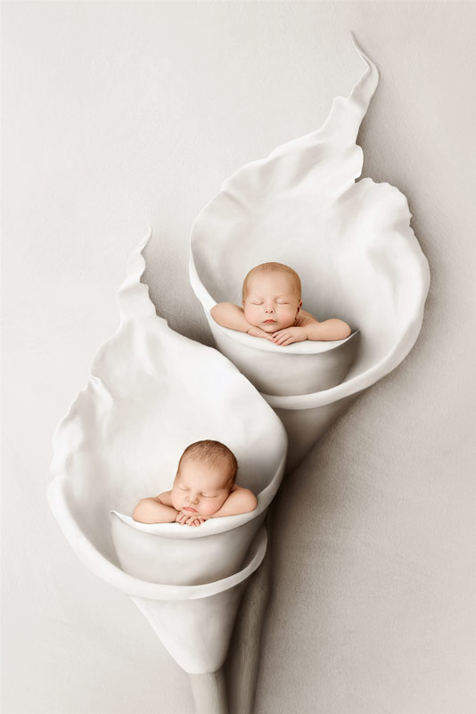 Kelly Brown Newborn Award Winning Photographer