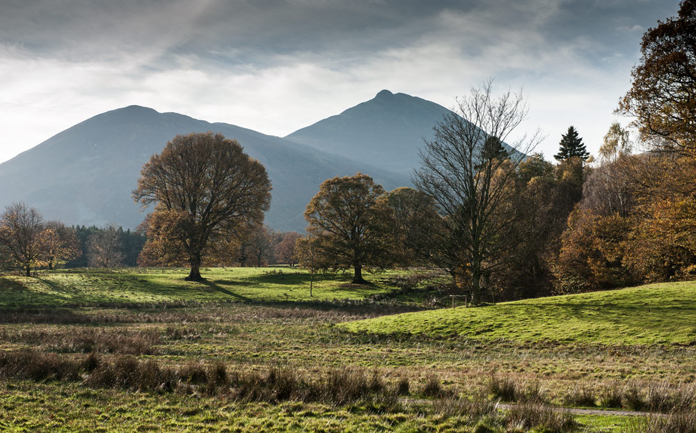 Photographing Trees Through the Seasons