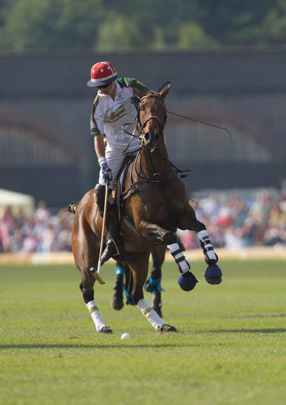 Polo Sport Photography