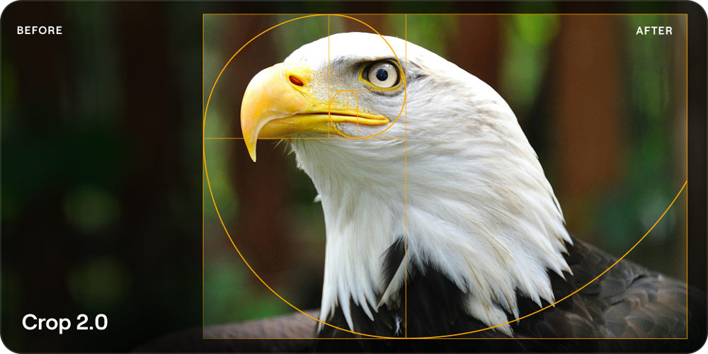 Luminar Crop 2.0