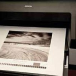 Fine Art Prints