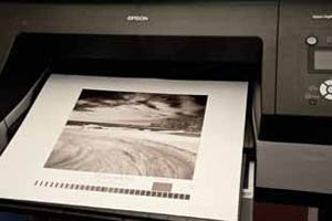 Fine Art Prints