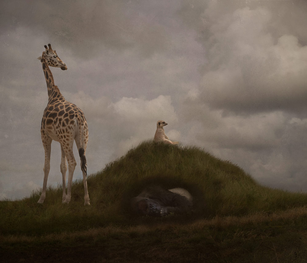 , July 2026 Highly Commended